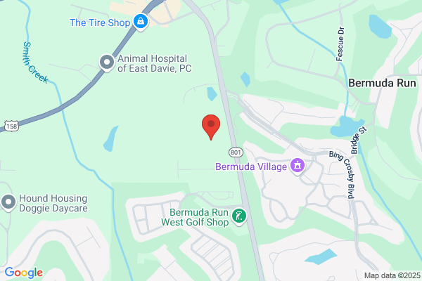 Bermuda Commons Nursing & Rehabilitation Center