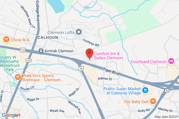 Comfort Inn & Suites Clemson - University Area