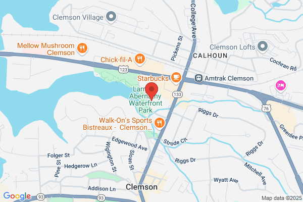 Clemson Therapy Group