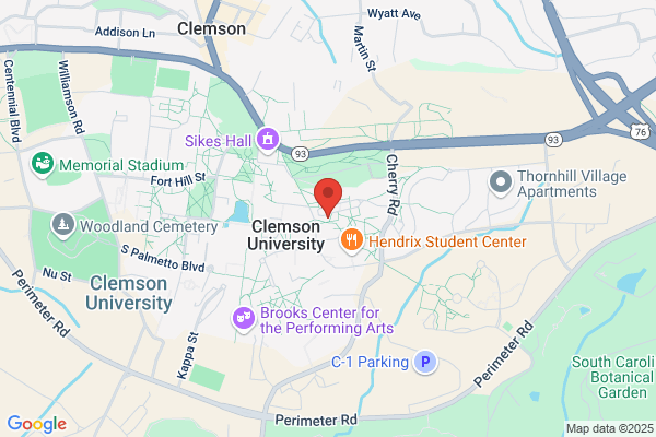 Peppino's Pizzeria Clemson
