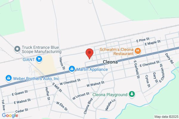 Cisney'S Diagnostic Service