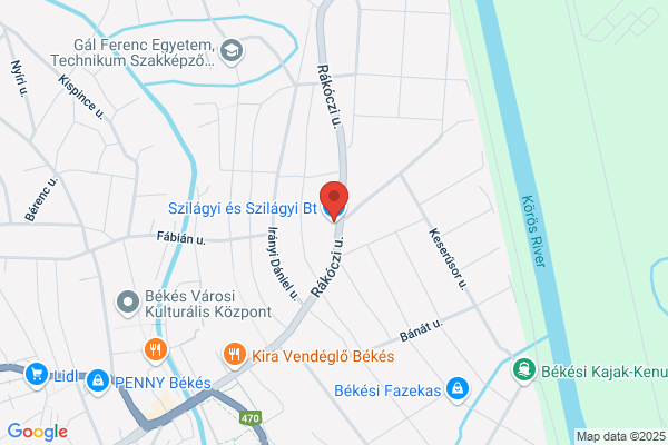 Szilagyi & Szilagyi Inc