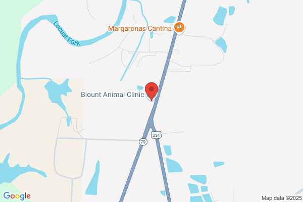 Blount Animal Clinic LLC