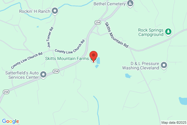 Skitt's Mountain Repair Service
