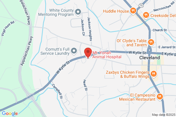 Candace Clinkscales - Mt. Yonah Animal Hospital