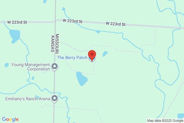 Berry Patch the