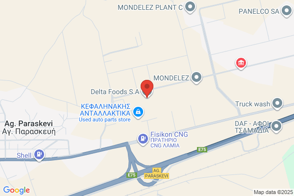 Delta Fast Food