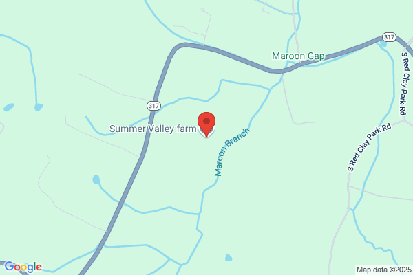 Mno Pullet Farm
