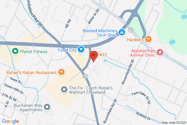 Advance Auto Parts