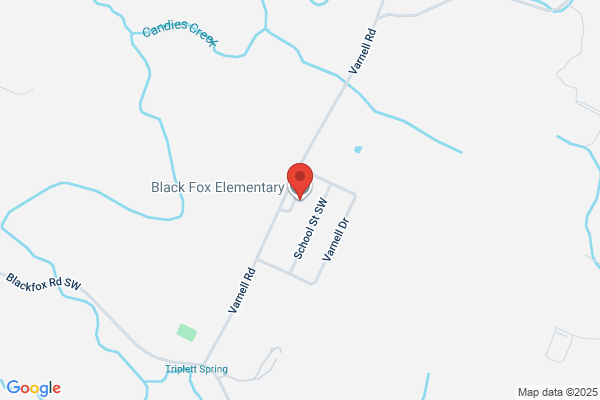 Black Fox School