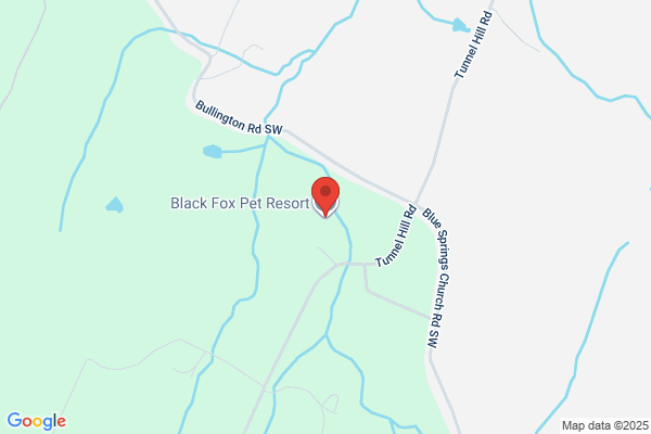 A Black Fox Pet Resort