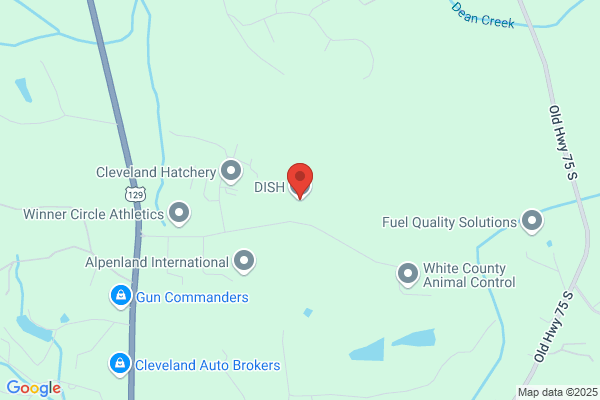 Dish Network