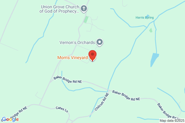 Morris Vineyard Tennessee Mountainview