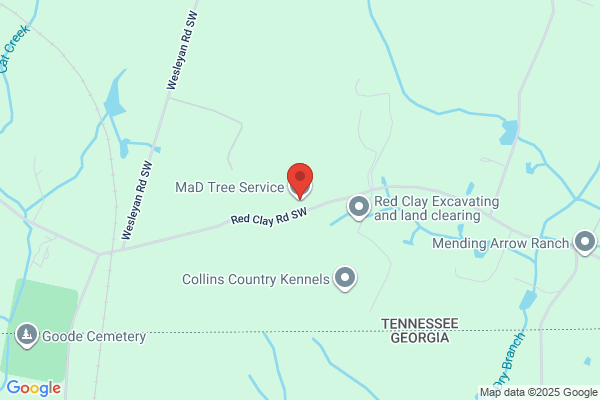 MaD Tree Service