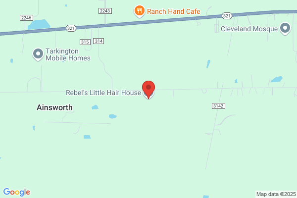 Rebel's Little Hair House