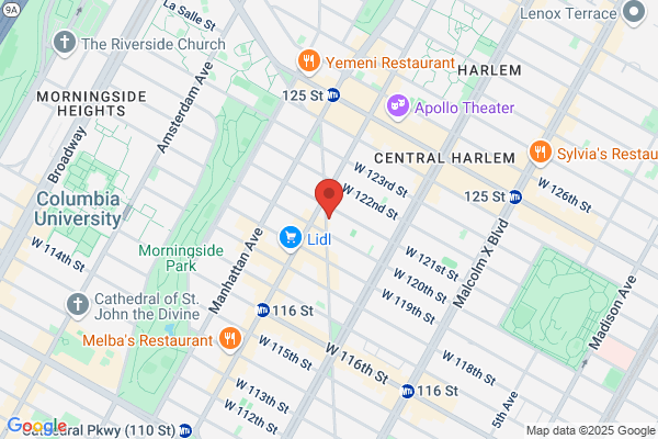 Harlem Car Service Inc