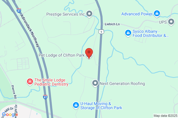 Pet Lodge of Clifton Park