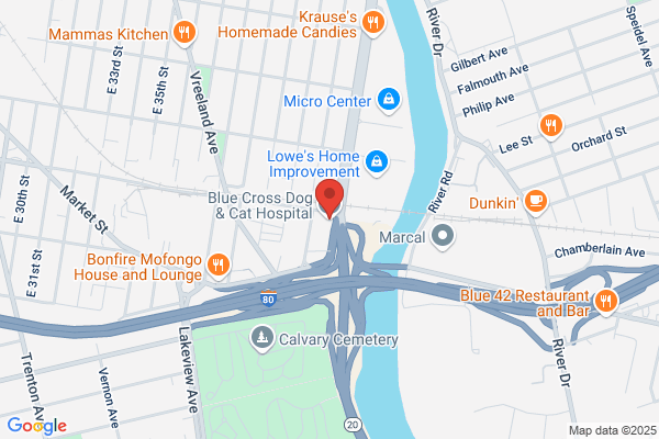 Animal Clinic of Paterson