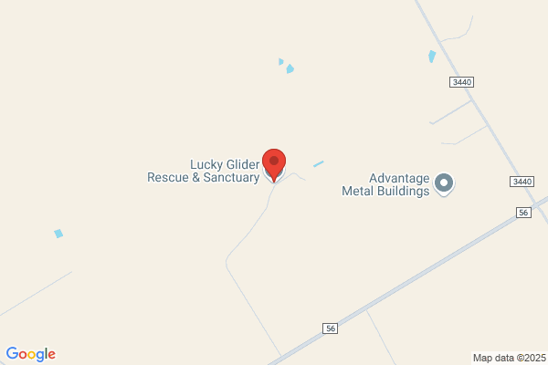 Lucky Glider Rescue & Sanctuary