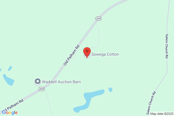 Sowega Cotton
