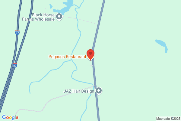 Pegasus Restaurant Inc