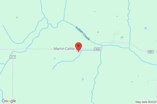 Martin Cattle Farm