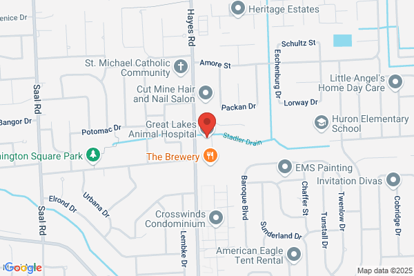 Great Lakes Animal Hospital