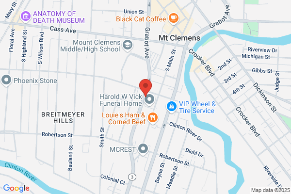 24/7 Bail Bonds, Macomb