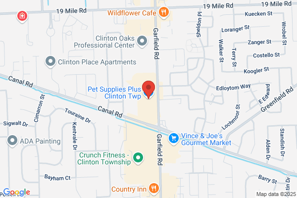 Pet Supplies Plus
