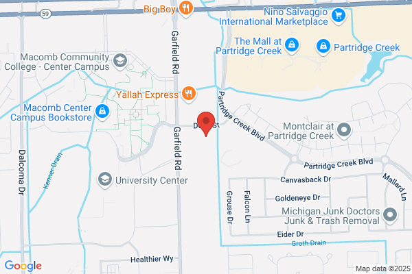 Michigan Foot & Ankle Institute, PC