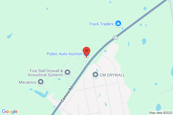 The Public Auto Auction