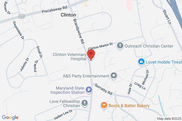 CLINTON VETERINARY