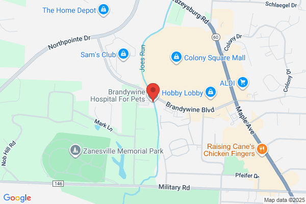 Brandywine Animal Hospital