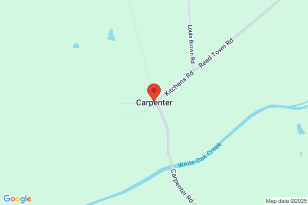 My Carpenter Buddy
