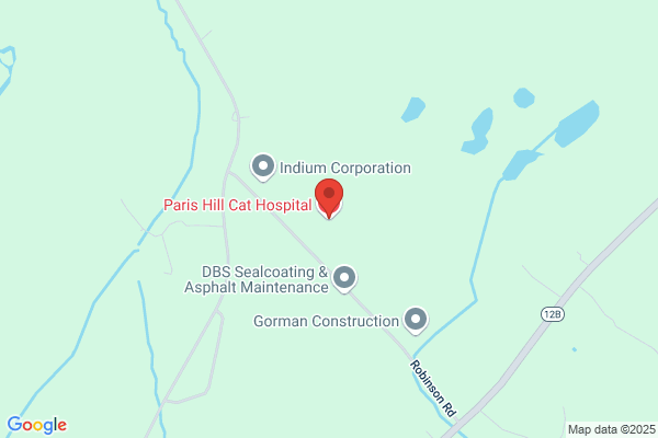 Paris Hill Cat Hospital