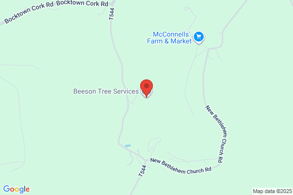 Beeson Tree Service