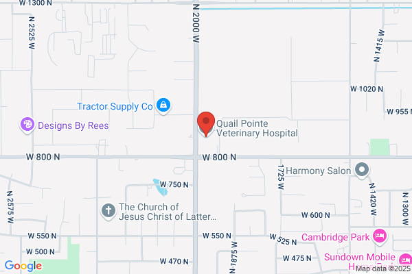 Quail Pointe Veterinary Hospital