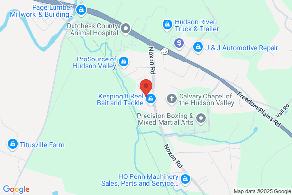Hollands Swimming Pool Supplies