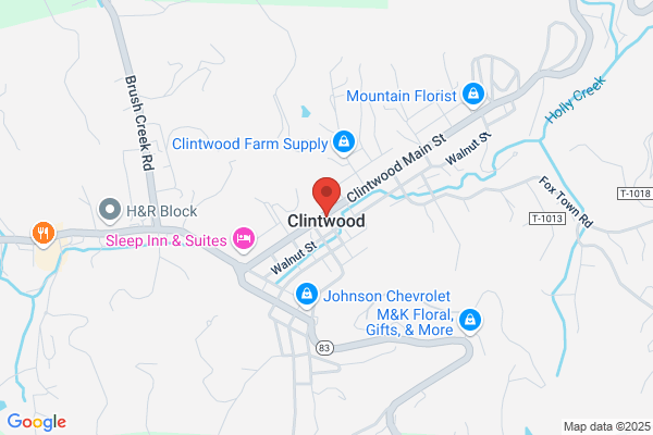 Clintwood Electronics