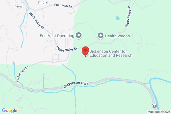 Dickenson County of, Treasurer