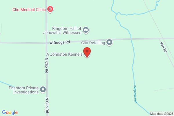 A Johnston Kennels