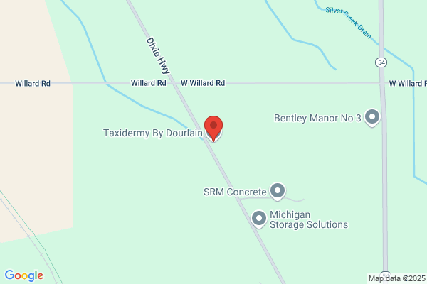 Oconnor Taxidermy