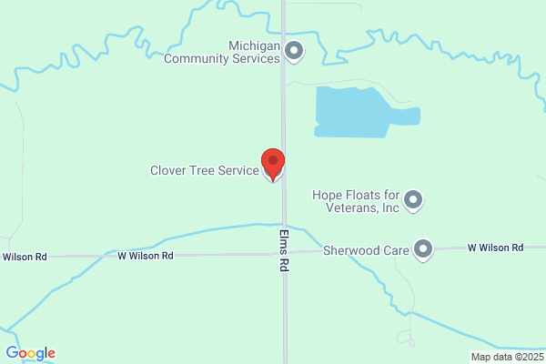 Dicks Tree Service