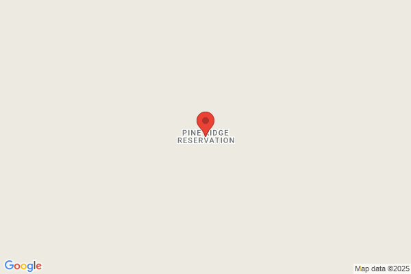 Pine Ridge Homes Inc