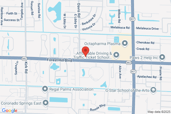 Animal Eye Specialty Clinic - West Palm Beach