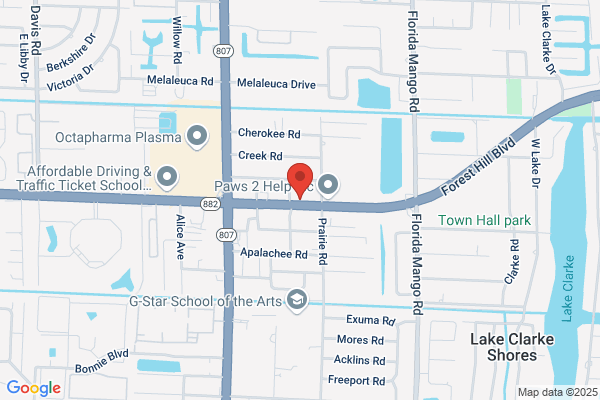 Florida Auto Upholstery and Trim