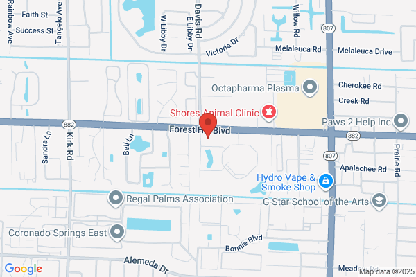 Simon Orthodontics