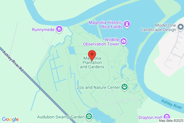 Magnolia Plantation