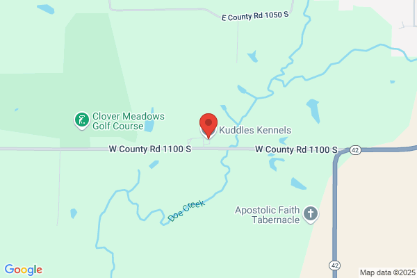 Kuddles Kennels