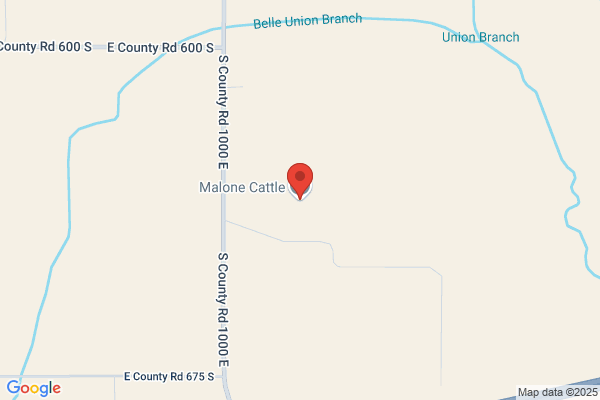 Mlm Livestock Llc